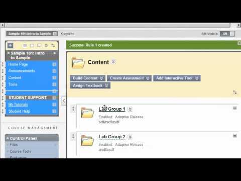 Setting up Groups, Adaptive Release Content, Discussion Board, and Grade Center in Blackboard