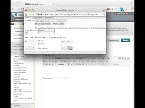 Adding Images to a Blackboard 9 Question