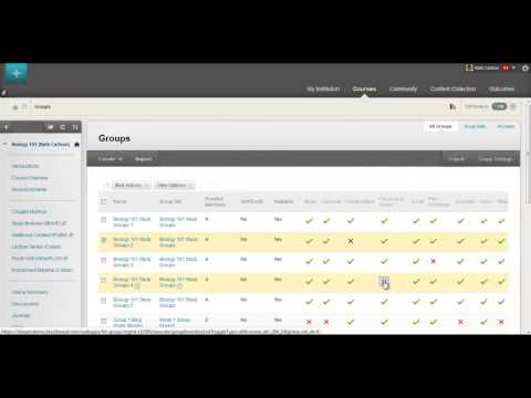 Blackboard Learn Quick Hit Video: Groups Management