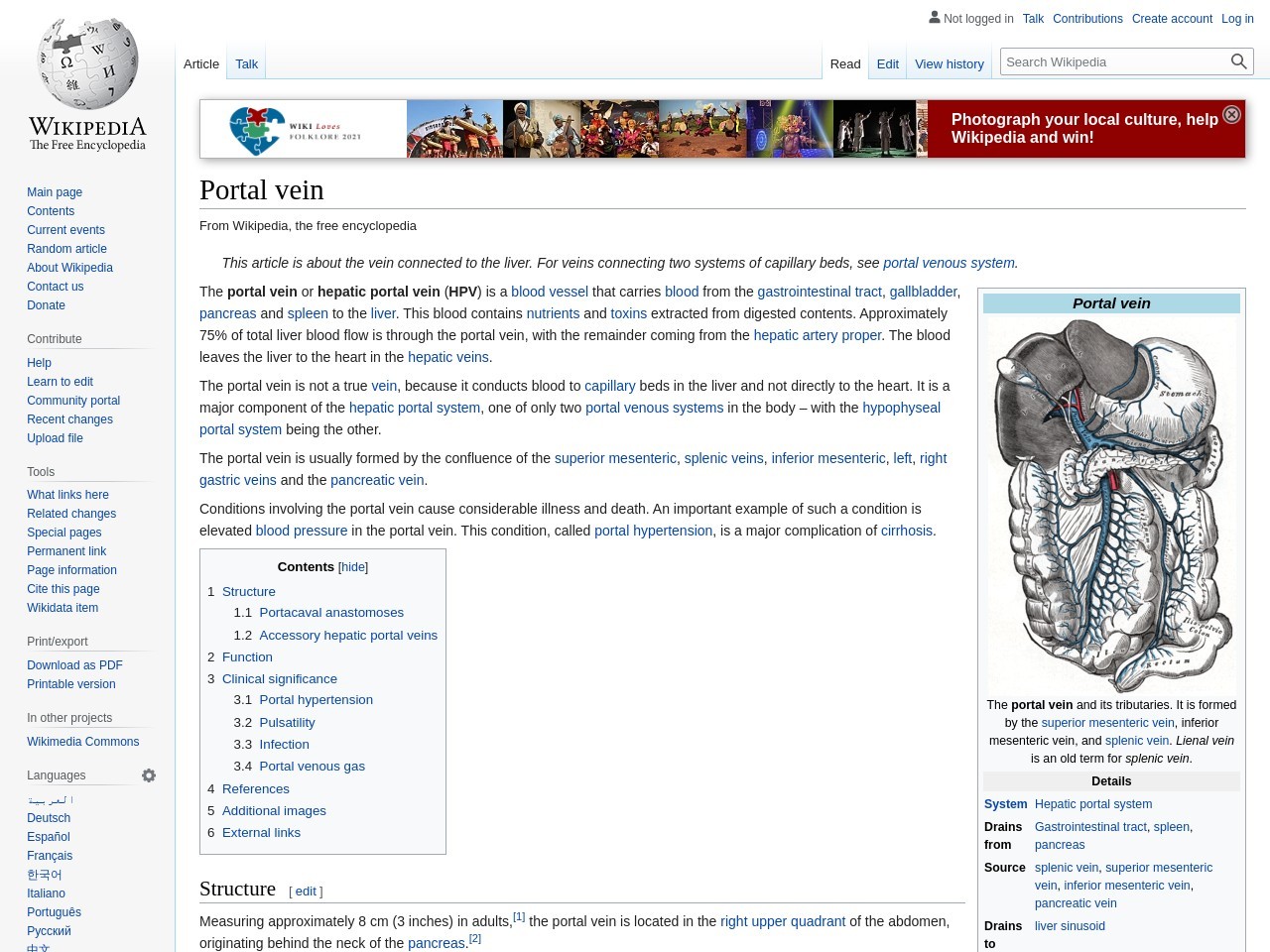 Portal vein - Wikipedia
