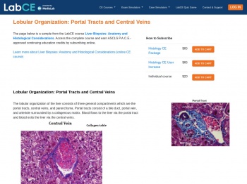 Lobular Organization: Portal Tracts and Central Veins - LabCE ...