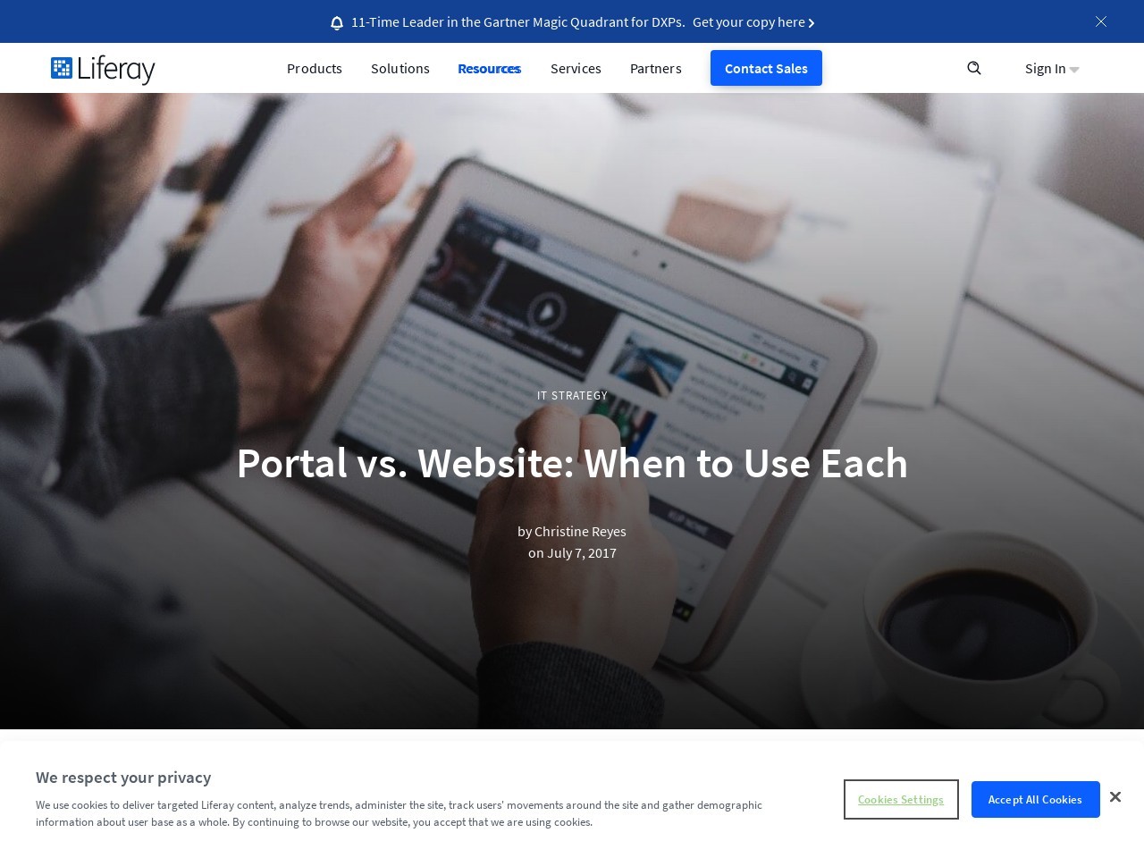 Portal vs. Website: When to Use Each | Digital Strategy ...