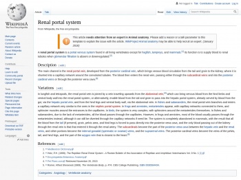 Renal portal system - Wikipedia